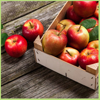 Leuke appelige weetjes Appels zijn veelzijdig en lekker!