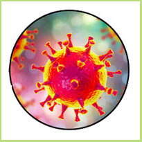 Coronavirus, covid-19 of wuhanvirus