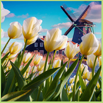 Drie tips voor een super leuke vakantie in eigen land!