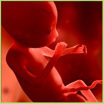 Embryoreductie is niet zonder risico