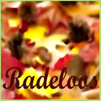 Radeloos #blog34