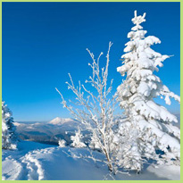 Wintersport in Frankrijk, de Franse alpen zijn zo leuk!