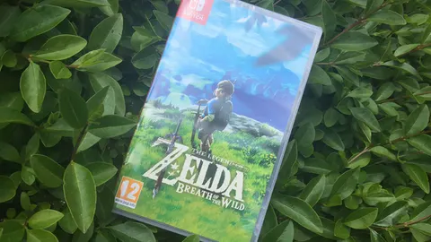 The legend of Zelda