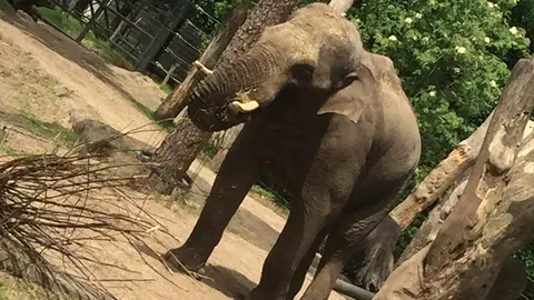 Bezoek aan Dierenpark Amersfoort