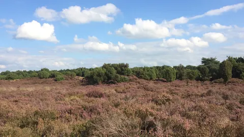 Bijzonder Drenthe