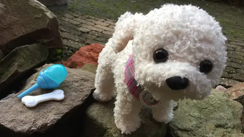 BABY born® Pony Farm Puppy Doodle