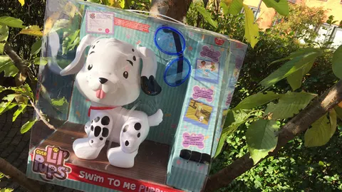 De schattige "Swim to me puppy" kan lopen én zwemmen!