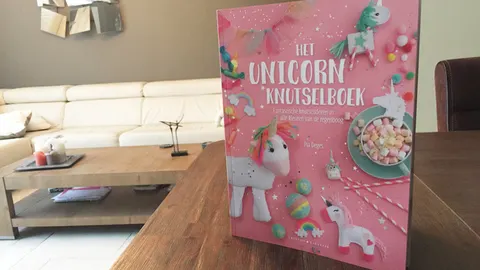 Het unicorn knutselboek