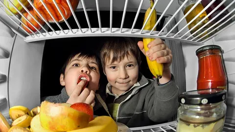 Kinderen en koelkasten