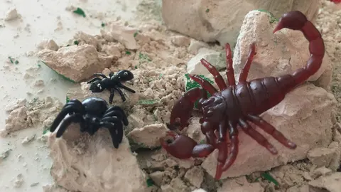 Crawling creatures excavation kit (van de Action)