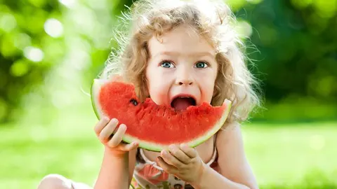 Zomer ABC