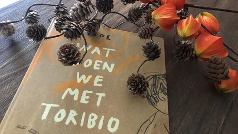 Wat doen we met Toribio