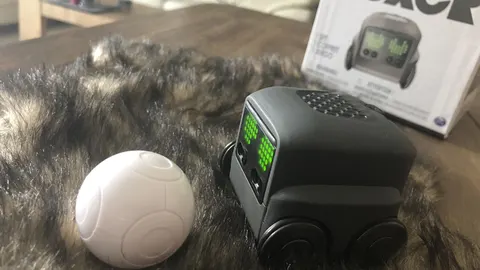 Boxer interactieve robot