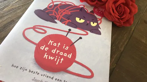 Kat is de draad kwijt
