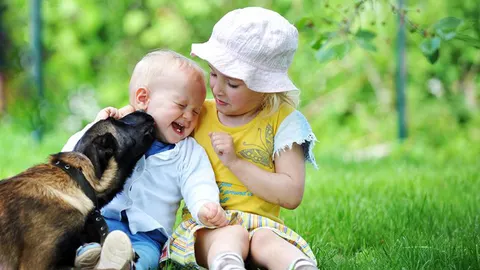 Bang voor honden