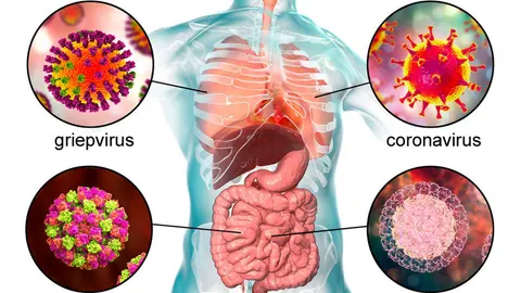 Het coronavirus of wuhanvirus