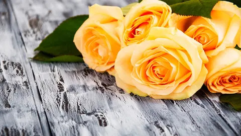 Dag lieve mama… Afscheid moeder