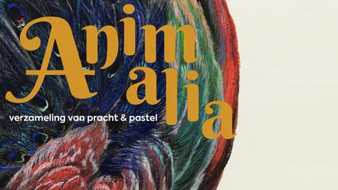 Animalia in Apeldoorn - Coda Museum