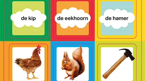 Veilig lezen