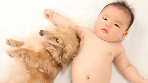 Opgroeien met honden