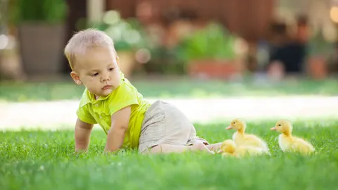 Rollen, zitten, tijgeren, kruipen, staan en lopen