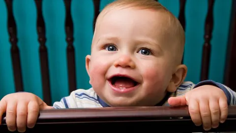 Je baby veilig in de box