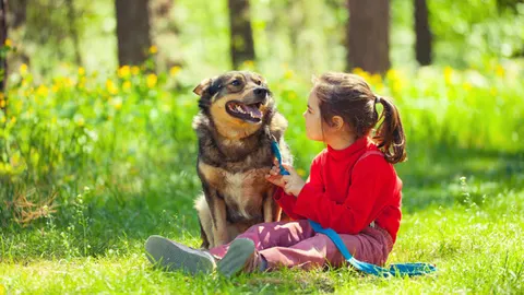 Huisdierenregels top 10