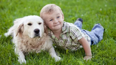 Zo verwen je een huisdier met Dierendag!