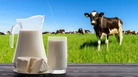 Koemelkallergie, hoe ga je hiermee om?