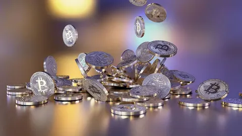Wat zijn bitcoins?