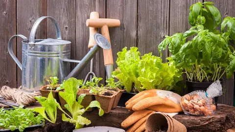 6x Elektrisch tuingereedschap dat onmisbaar is in de tuin