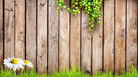 Op zoek naar een tuinafscheiding? Dit zijn je opties!