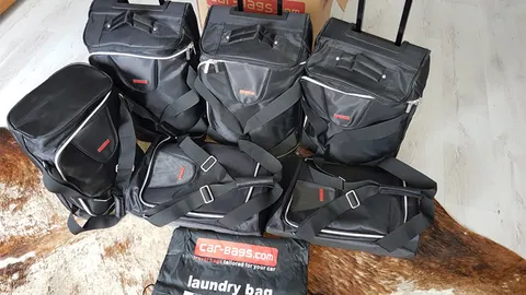 Car-bags reistassen