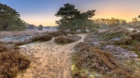 Vakantiehuis in Nederland