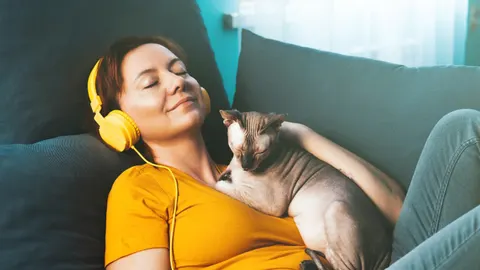 Je favoriete radiozenders & podcasts overzichtelijk bij elkaar!