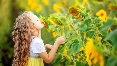 Hoe maak je een kindvriendelijke tuin?