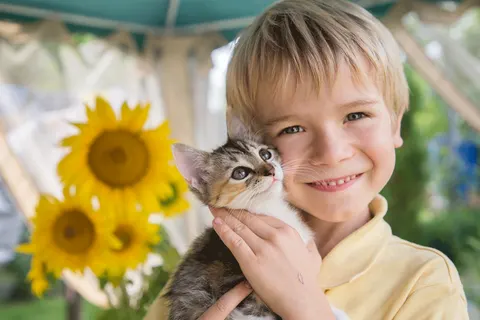 Hoe je je kinderen kunt leren verantwoordelijkheid te nemen voor de zorg van een kat