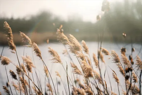 Wat kun jij doen voor de natuur?