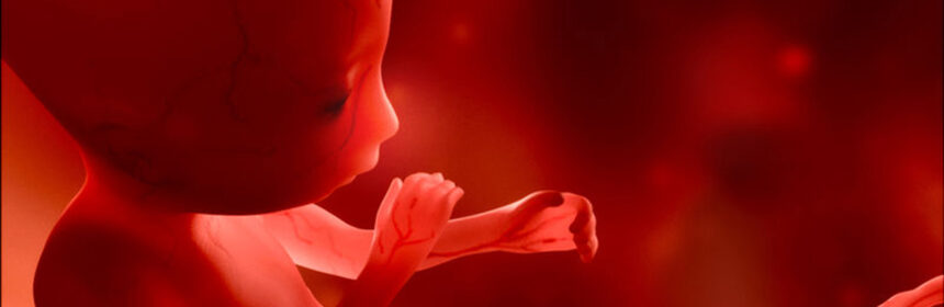 Erkenning ongeboren vrucht - Wanneer moet je dit regelen?