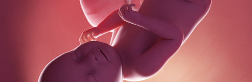 Week 38 zwangerschapskalender - Wat gebeurt er allemaal in deze week?
