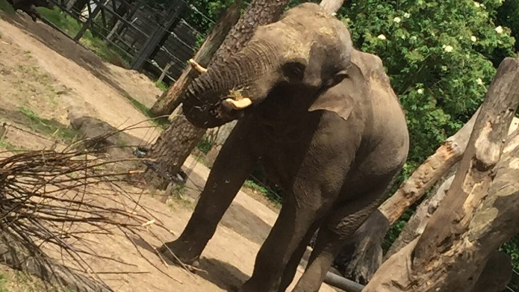 Bezoek aan Dierenpark Amersfoort