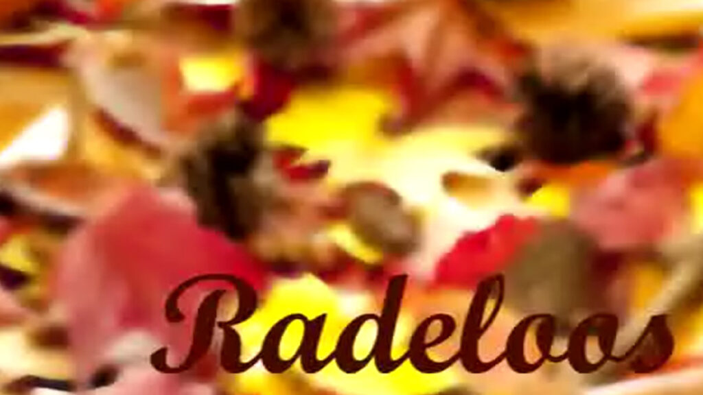 Radeloos