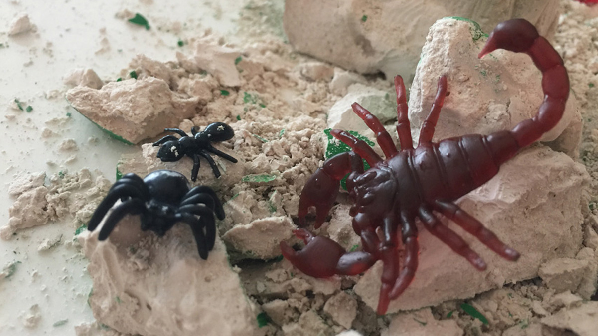 Crawling creatures excavation kit (van de Action)