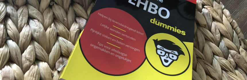 De kleine EHBO voor Dummies