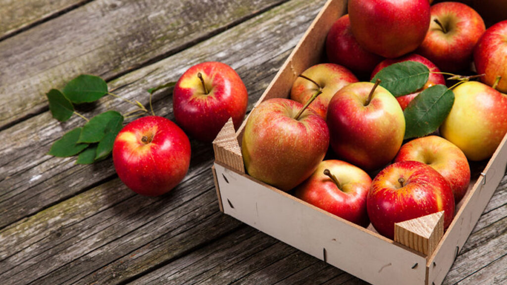 Leuke appelige weetjes Appels zijn veelzijdig en lekker!