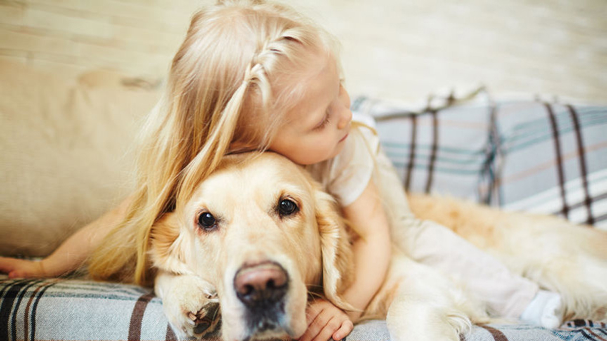 Spullen voor de hond