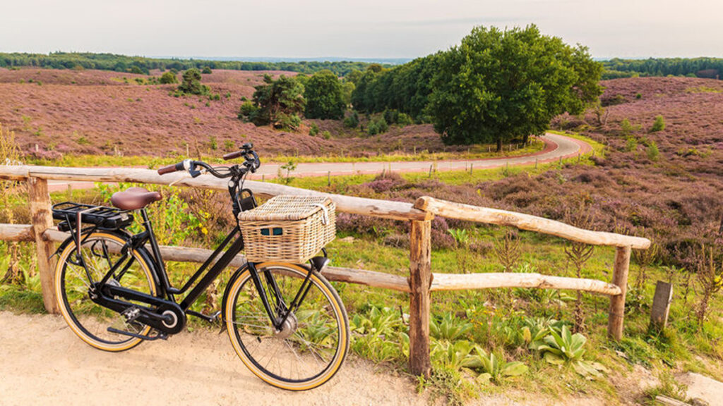 De allermooiste fietsroutes van Nederland