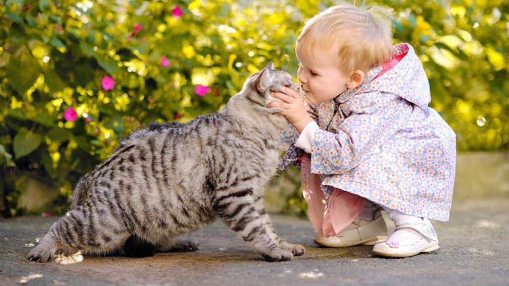 Handige tips & weetjes peuters themapagina