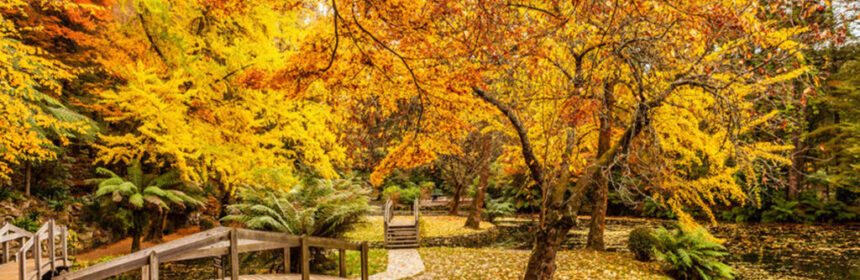 De leuke kanten van de herfst