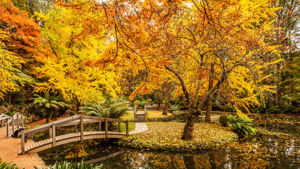 De leuke kanten van de herfst